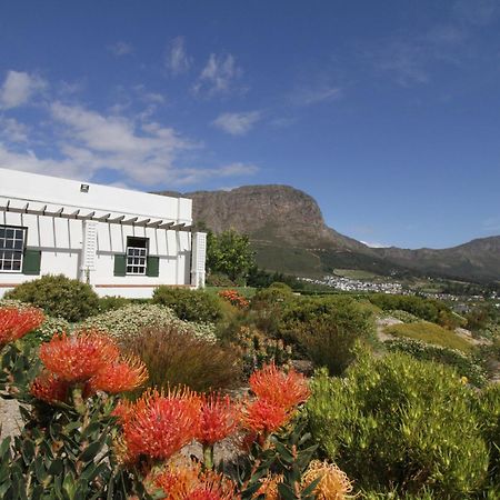 The Vineyard Cottage By L' Amitie Estate Franschhoek Exterior photo