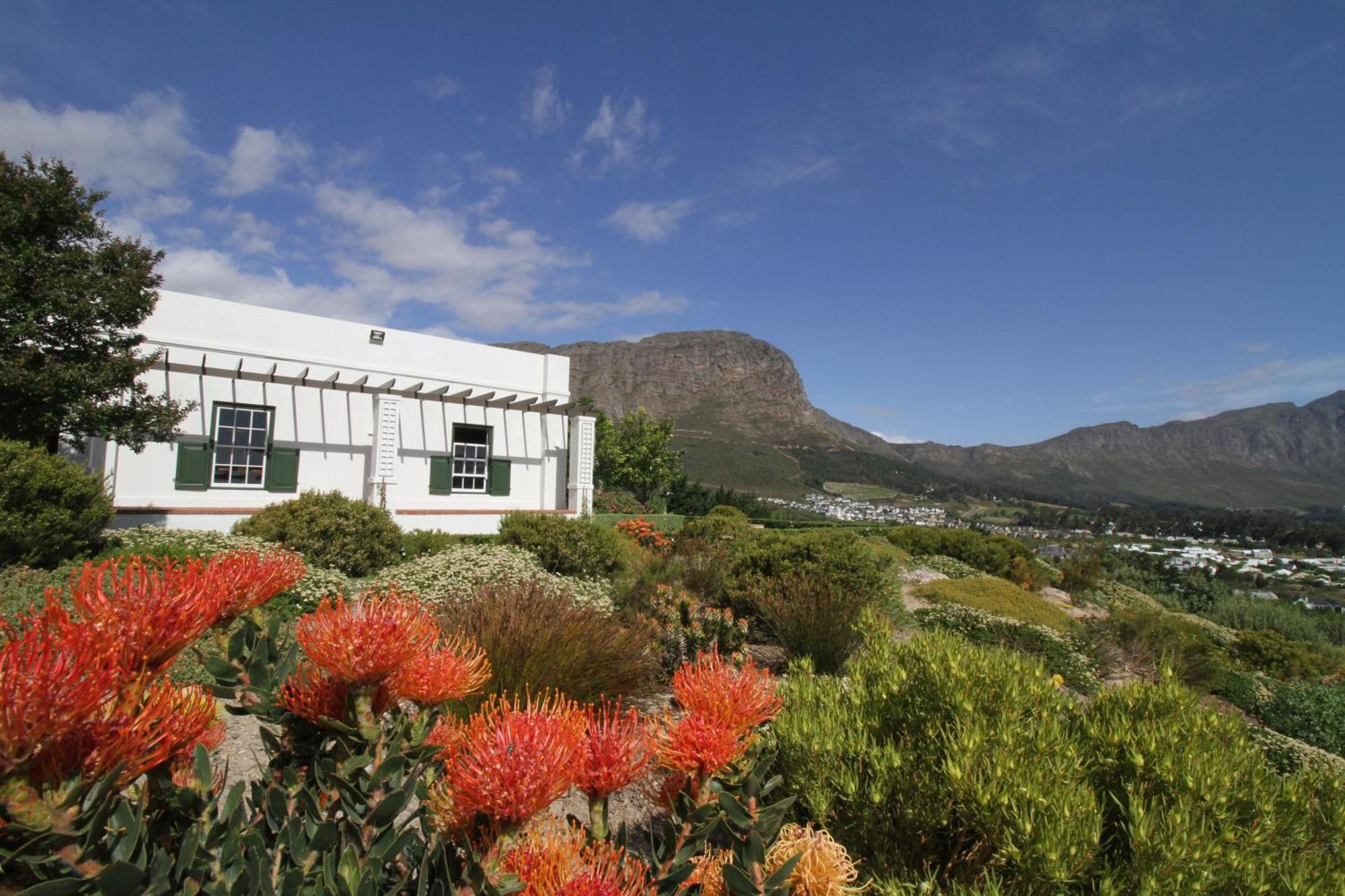 The Vineyard Cottage By L' Amitie Estate Franschhoek Exterior photo